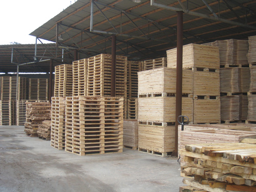 ľ�бP(p��n)02